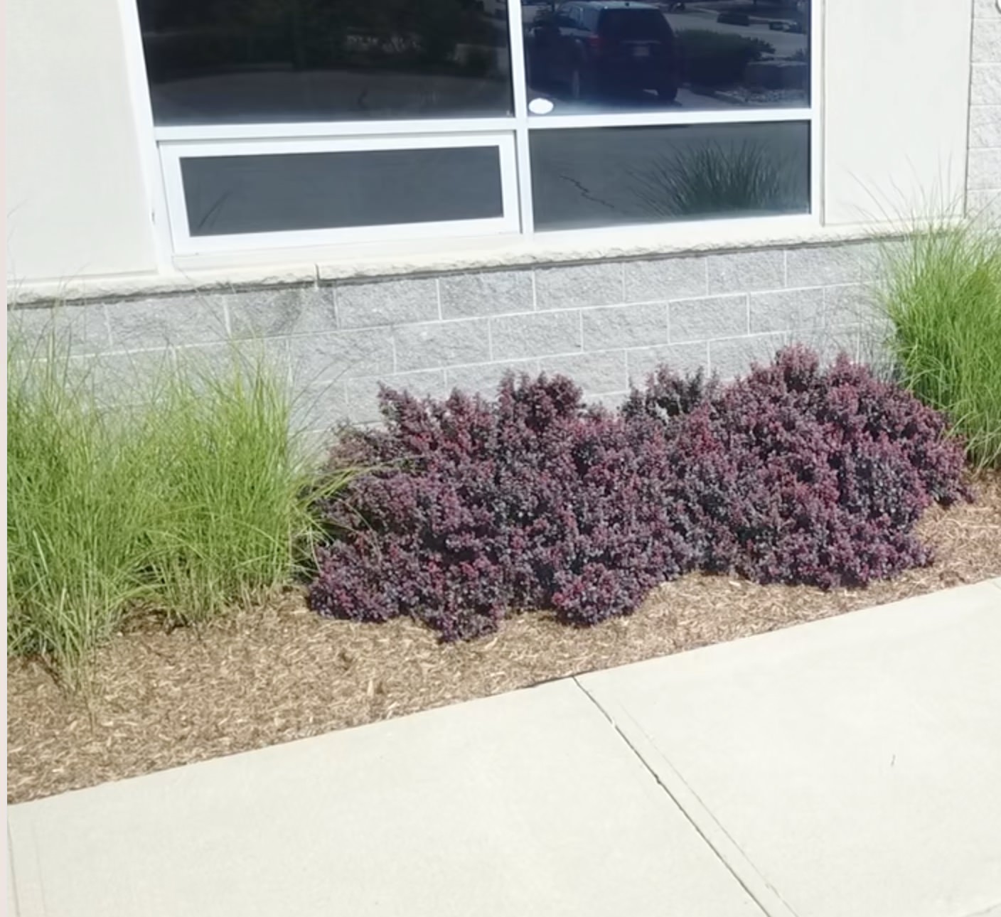 New mulch around building perimiter