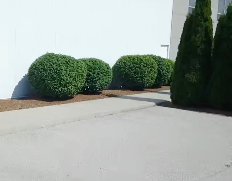 Property perimiter cleaned and lawn maintained